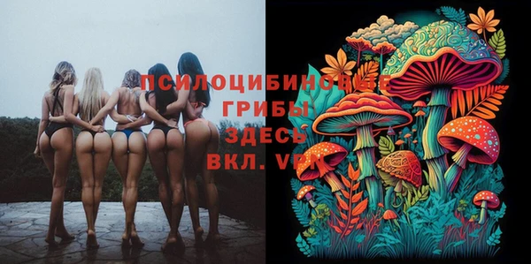 2c-b Гусиноозёрск